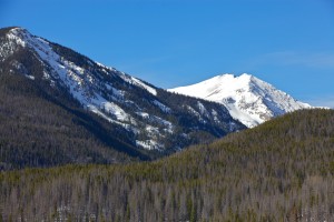 Photo of pine beetle effects on a pine forest