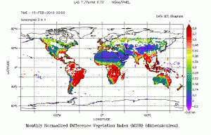 My NASA DATA allows students to access NDVI data and create their own color plots and time series graphs of NDVI