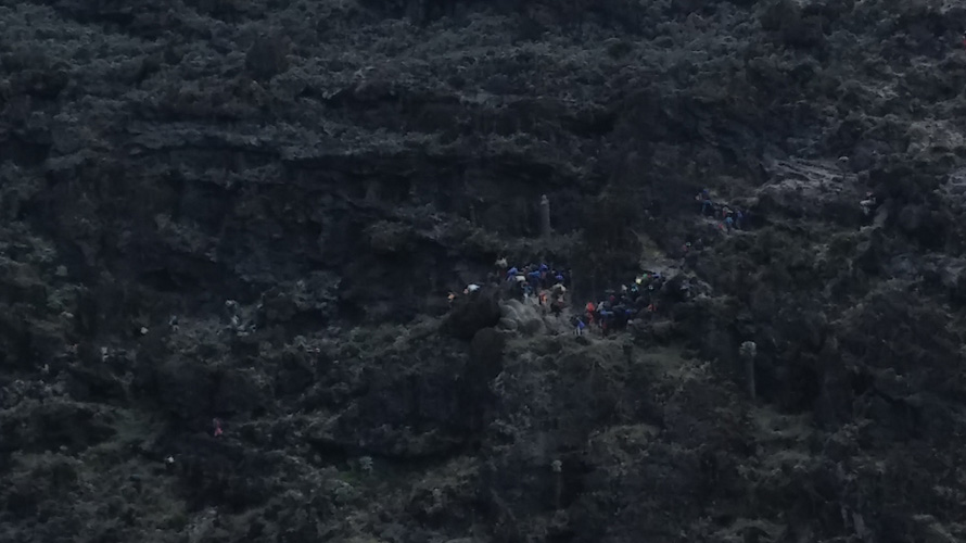 A train of over 100 people hike up the side of a mountain.