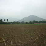South view of land cover from UNALM school in Peru