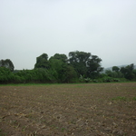 East view of land cover from UNALM school in Peru