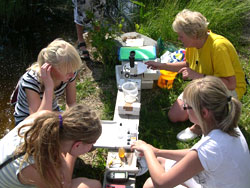 students doing science in a field