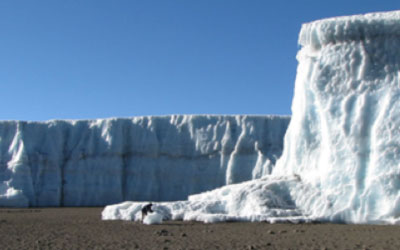 Glacier decreased by 40 meters in size from June 2008 to October 2009