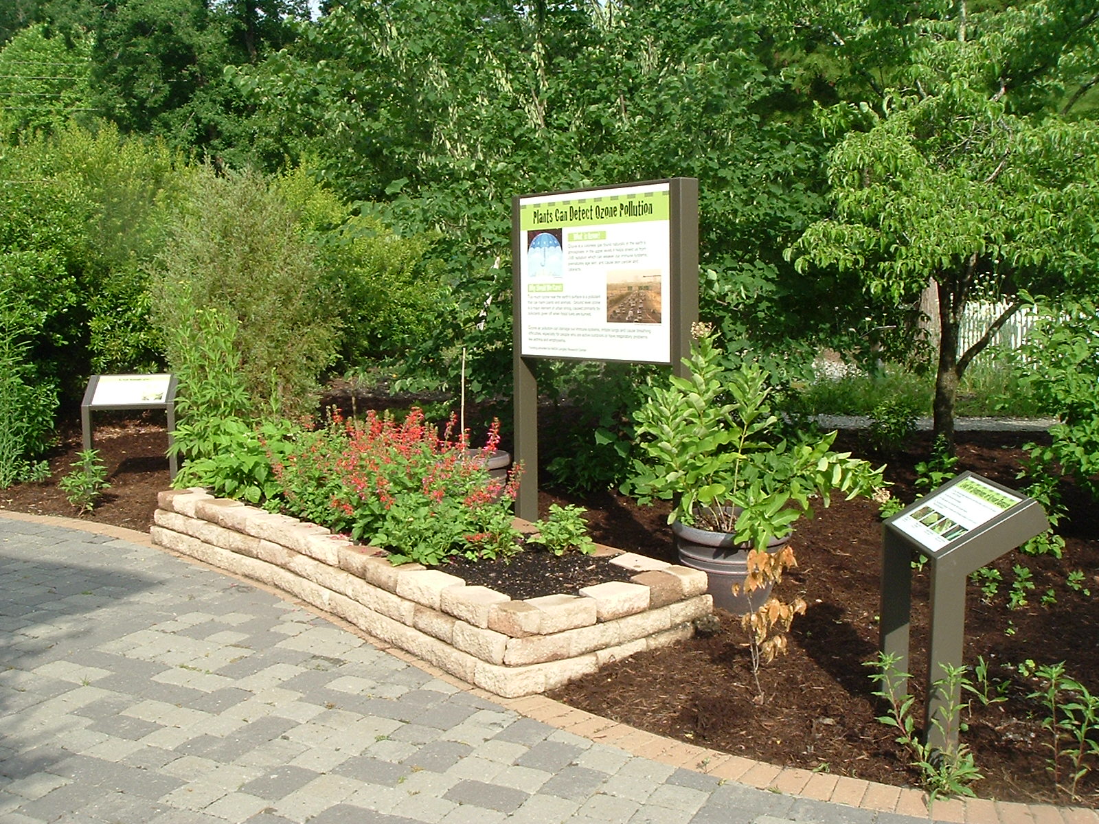 Ozone Bioindicator Garden at Virginia Living Museum