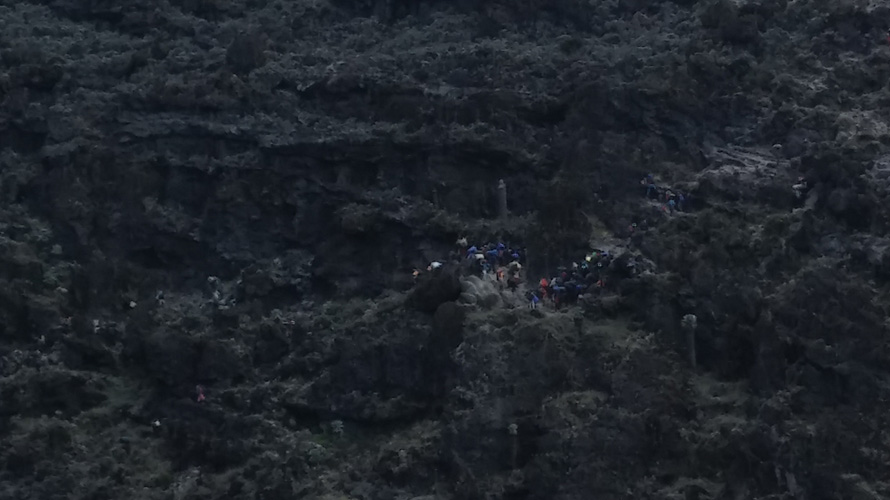 A train of over 100 people hike up the side of a mountain.