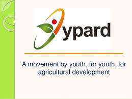YPARD Logo