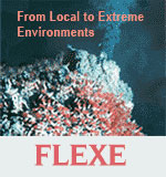 FLEXE image. From local to extreme environments. Image of plant life underwater.