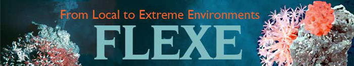 FLEXE Project image