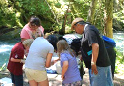 Doing science in forest