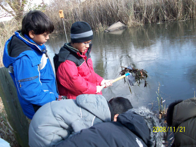 Students bring in a sample while studying freshwater invertebrates at Alley Pond Park