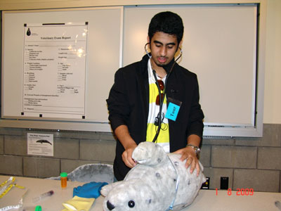 man with seal stuffed animal