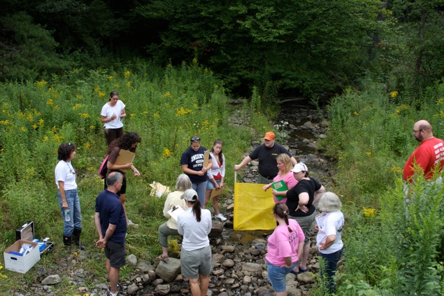 people doing science in a field