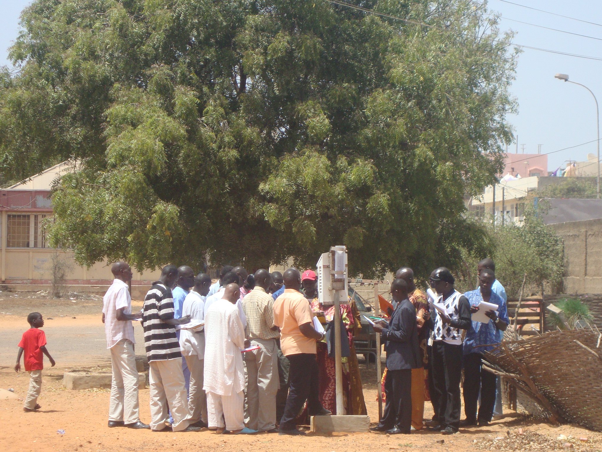 People by a tree.