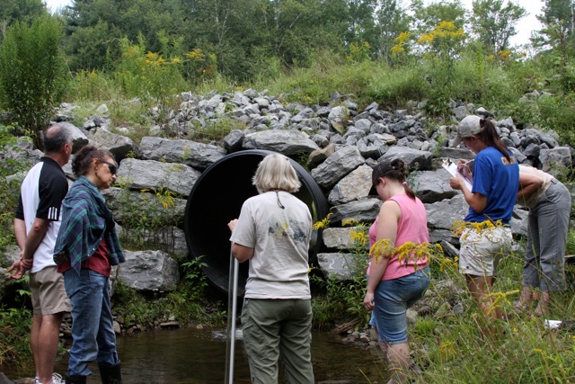 people doing science in a drain