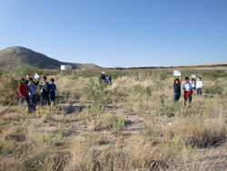 Students in a field