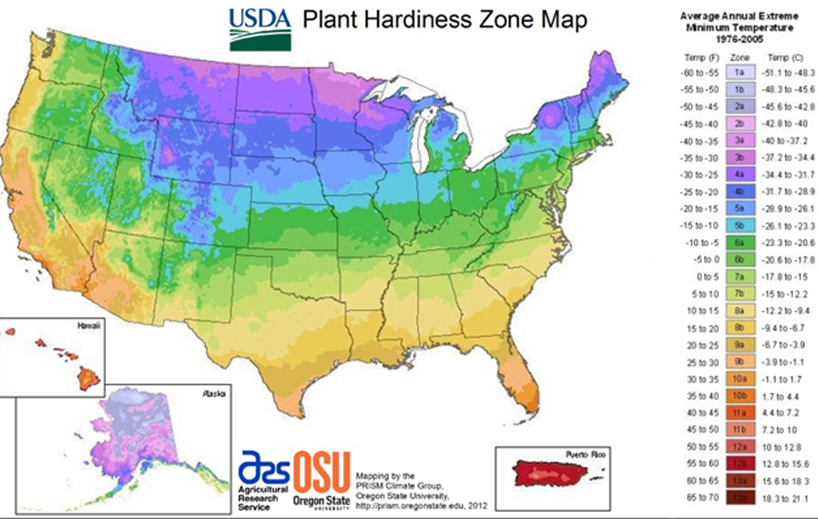 New plant hardiness map