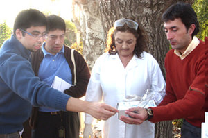 people in front of a tree