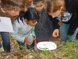 Children looking at a plate