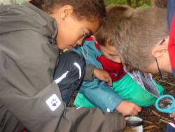 children doing science