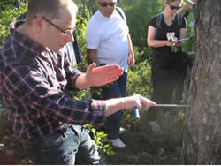 Researchers examining Tree