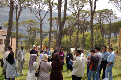 group in trees