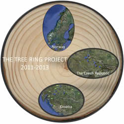 Tree Ring Logo