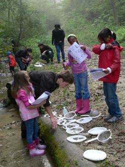 children doing science