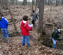 children searching through trees