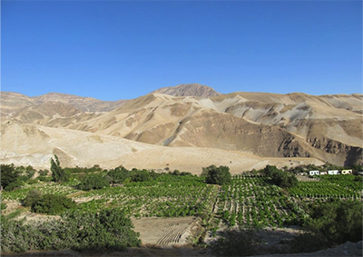 Trainings also took place in Omate, an oasis in the southern desert of Peru