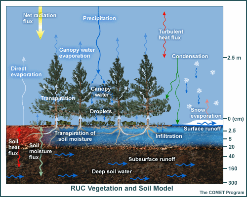 RUC Vegitation and Soil Model