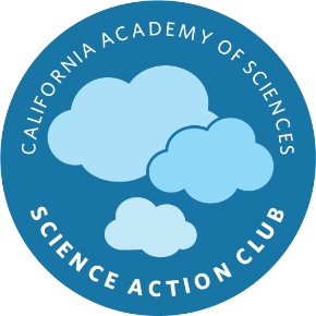 California Academy of Sciences / Science Action Club