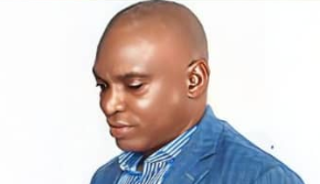 Southwestern Michigan College - United States of America. logo