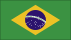 Brazil icon