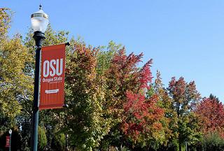 Oregon State University logo