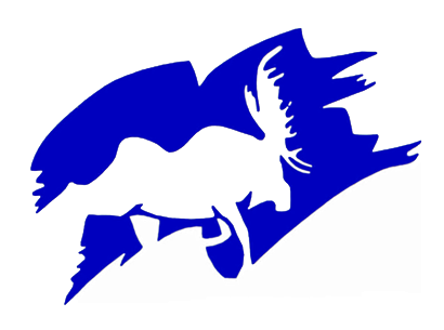 Palmer High School logo