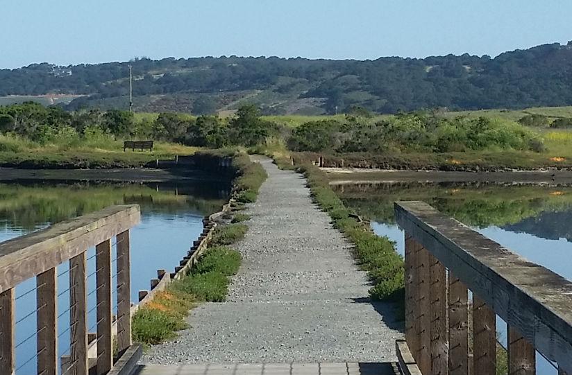 Elkhorn Slough Estuarine Research Reserve Education Programs School
