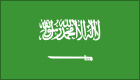 Saudi Arabia icon