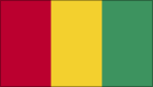 Guinea logo