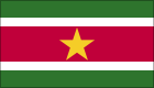 Suriname icon