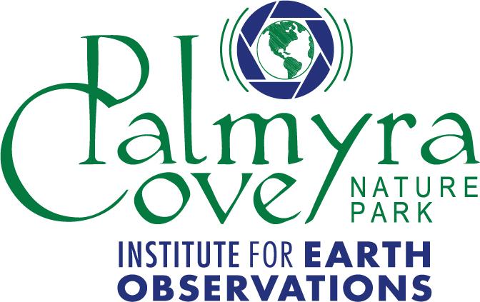 Institute for Earth Observations logo