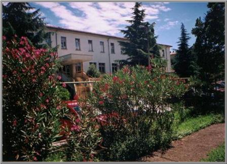 Srednja skola Mate Blazine Labin