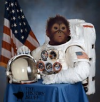 User Portrait