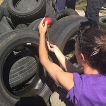 A teacher collecting mosquito samples from a tire.