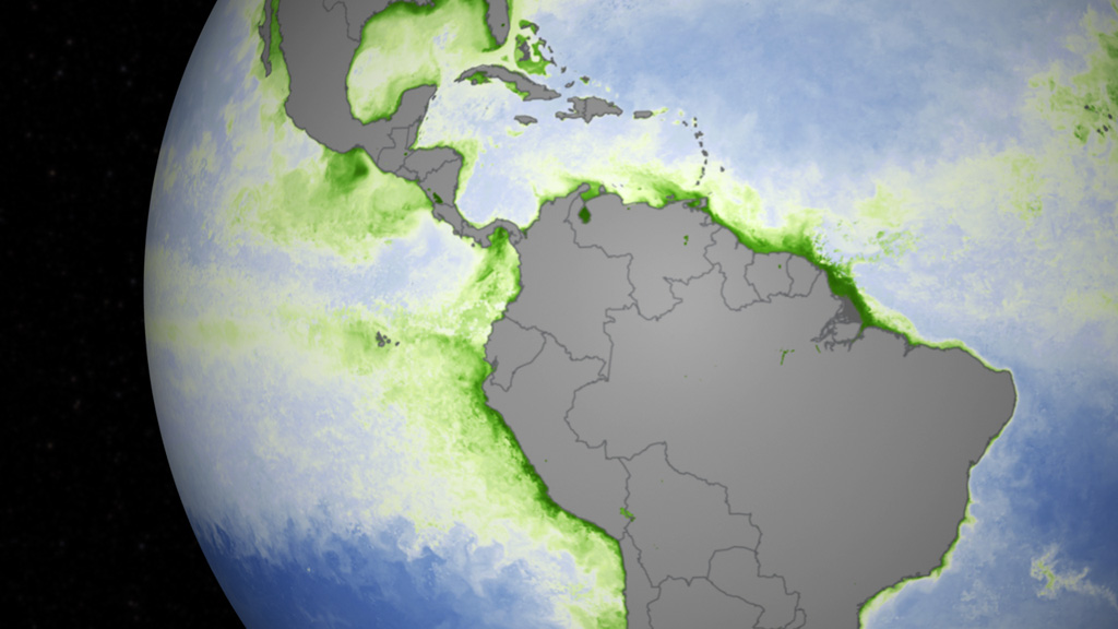 El Nino in the Pacific 