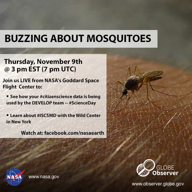 Buzzing About Mosquitoes -- GLOBE Observer Facebook Live Event graphic