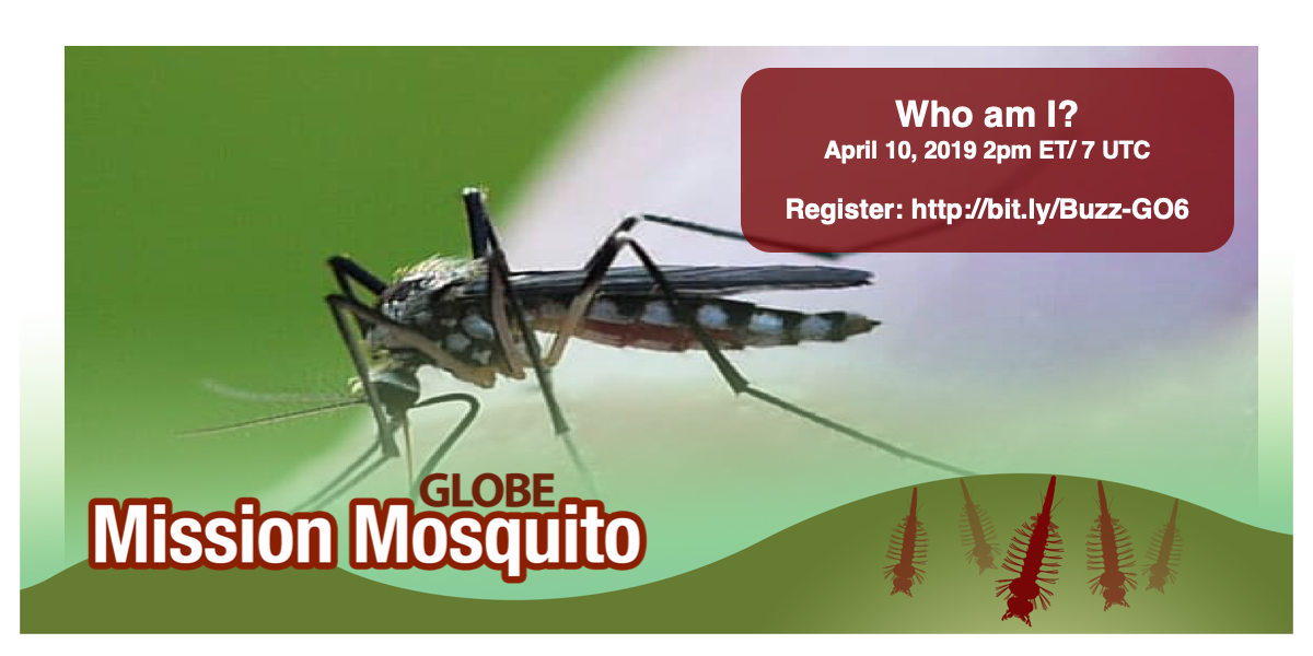 GLOBE Mission Mosquito webinar graphic, with webinar date/time