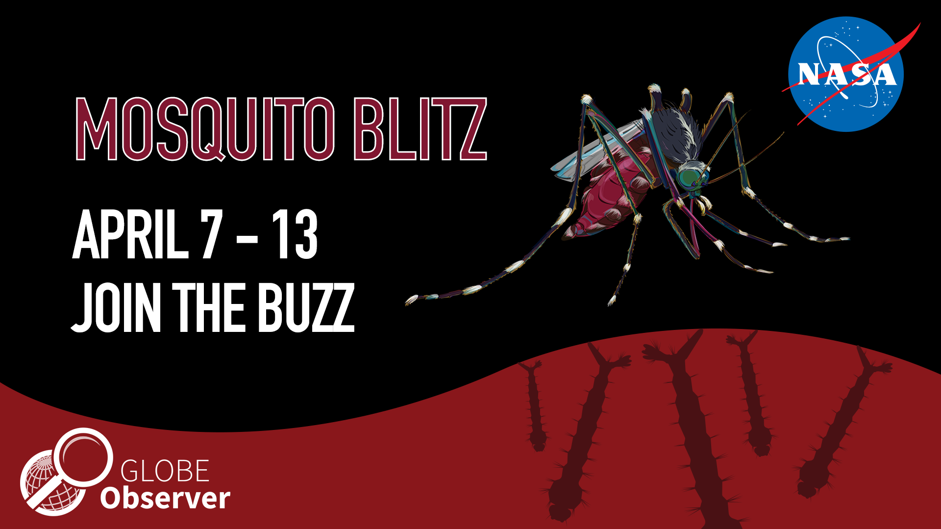 GMM Mosquito Blitz shareable