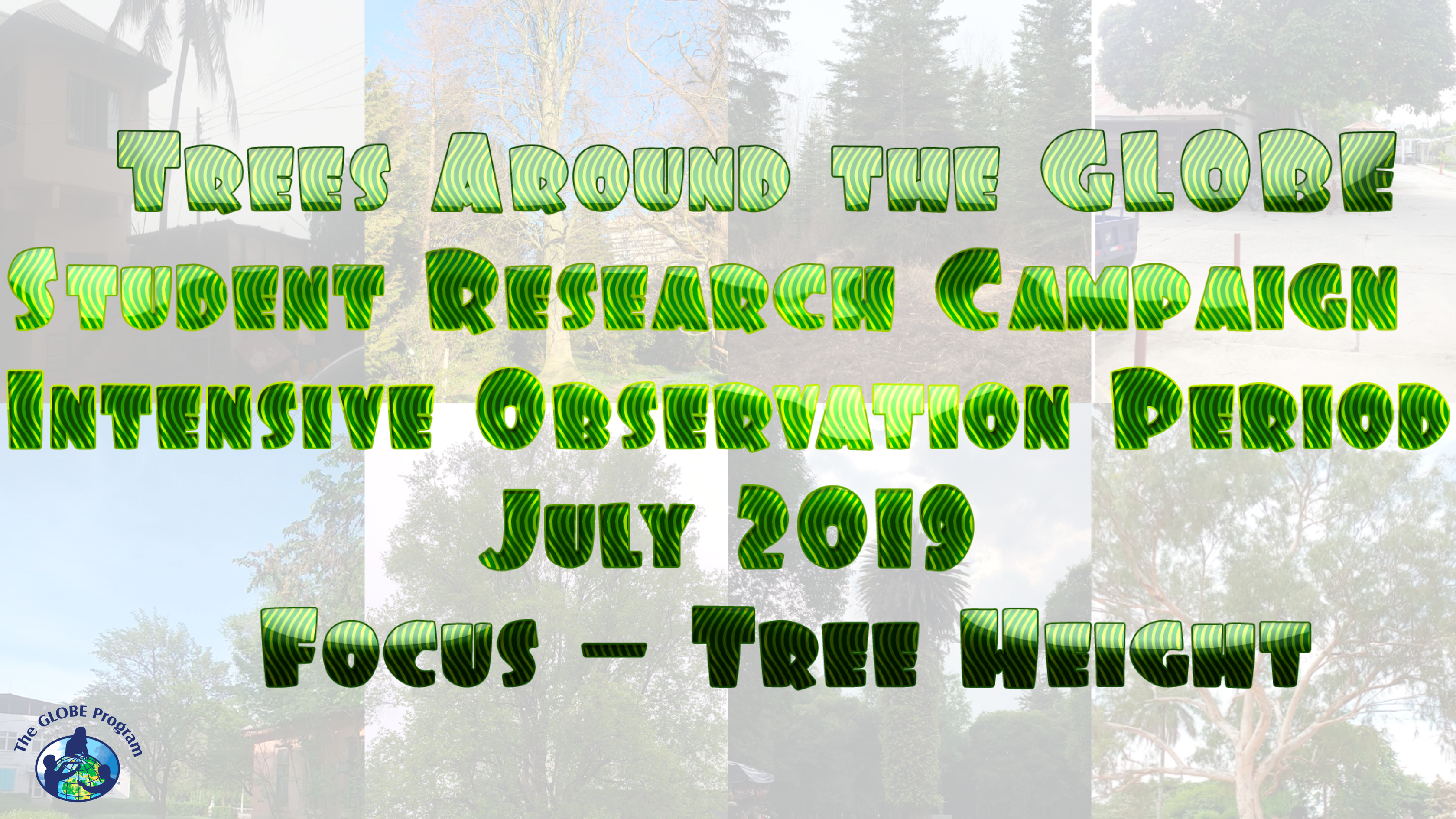 Trees Around the GLOBE Campaign July 2019 IOP shareable
