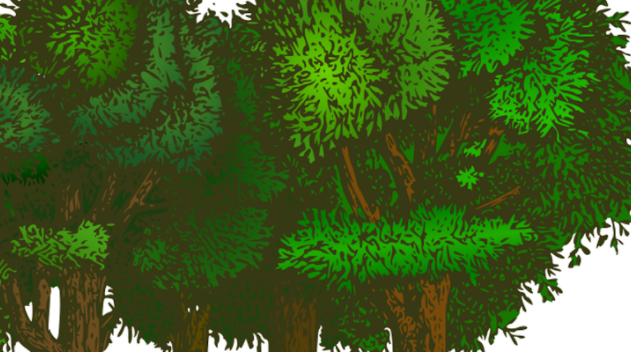 A graphic showing a group of trees