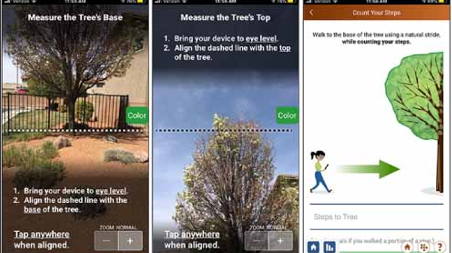 On-screen instructions guide citizen scientists to record the angle to the base and crown of the tree, estimate the distance to the tree, and record its location in GO Trees.